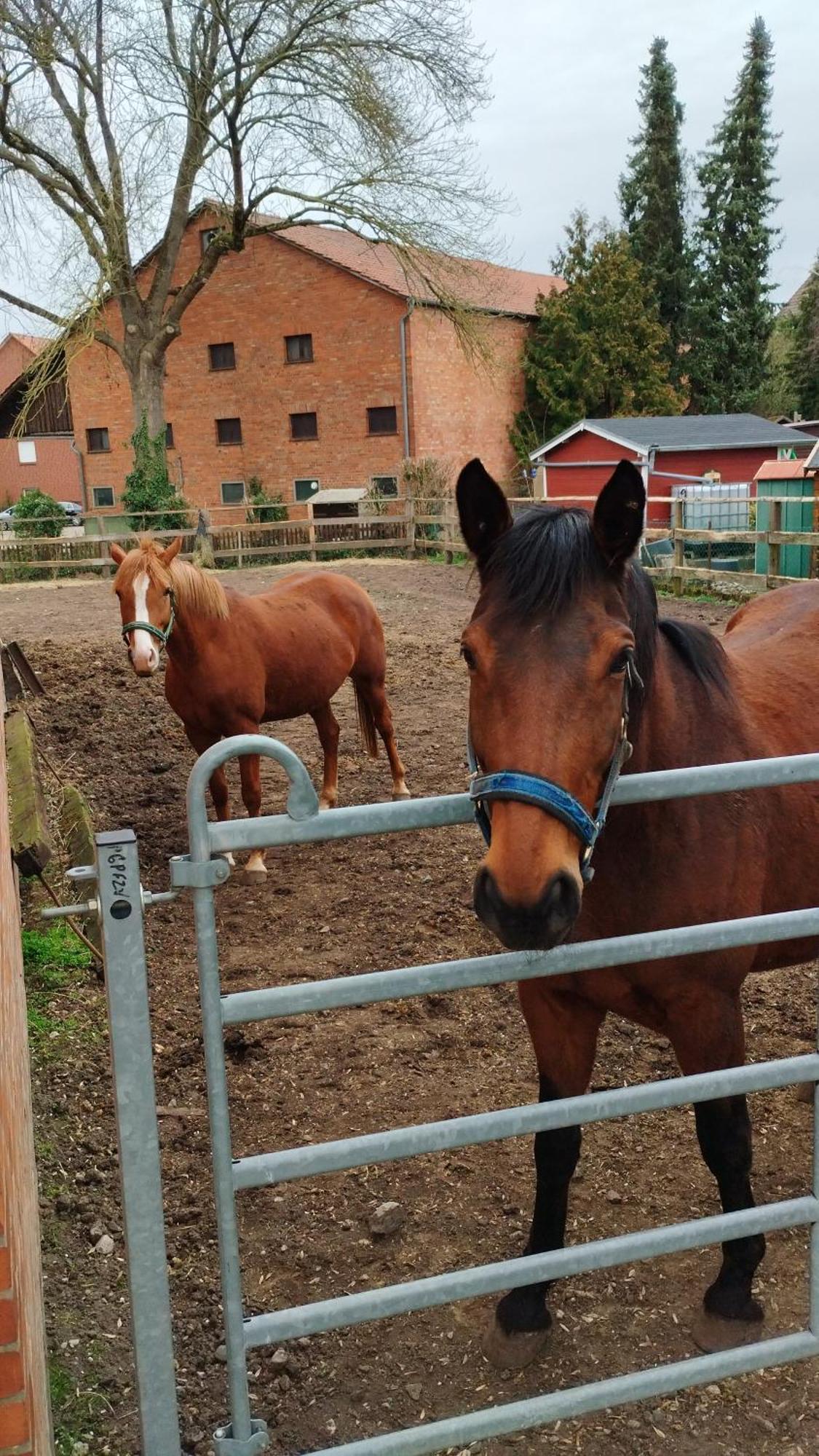 Wohnen Auf Dem Bauernhof Apartment Laatzen Exterior foto